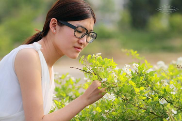 高清视频播放界面